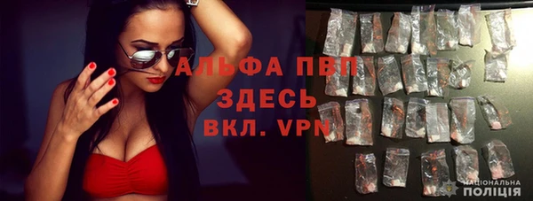 амф Верея
