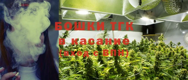 амф Верея