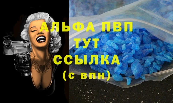 амф Верея