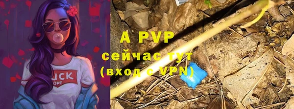 амф Верея