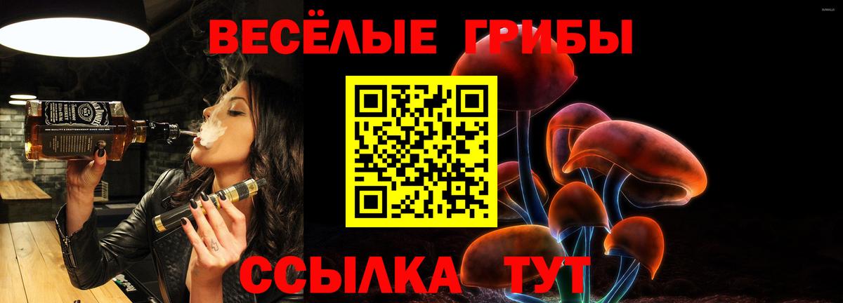 Псилоцибиновые грибы мицелий Северск