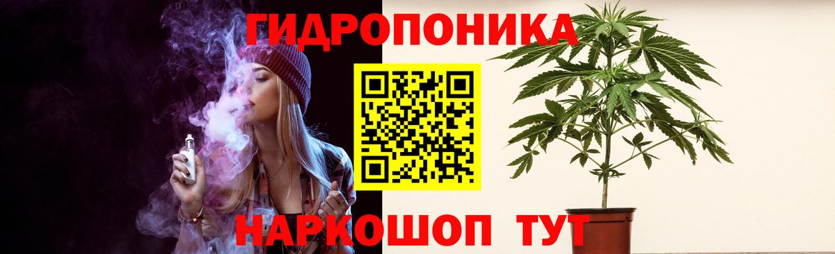 Каннабис семена Северск